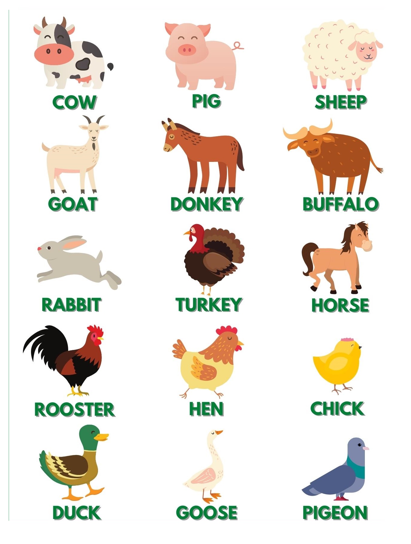 engleski rečnik: Domaće životinje - Farm animals